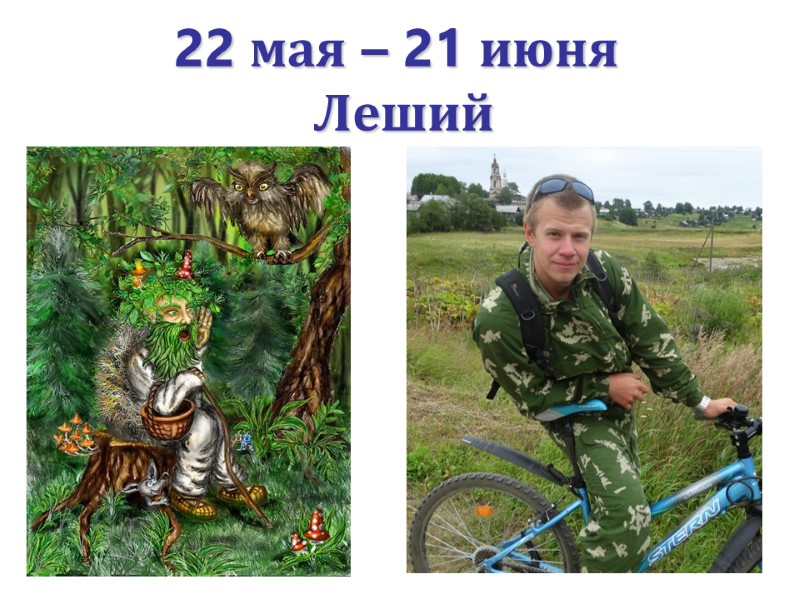 22 мая – 21 июня   Леший